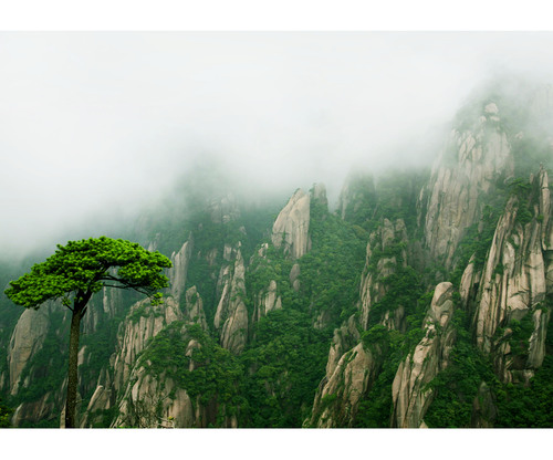 暮色苍茫看劲松（66团王林