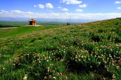 格登山风光