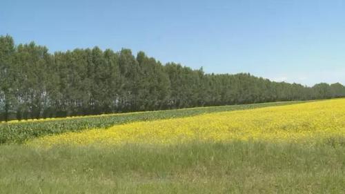 200