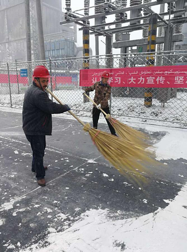 图片1