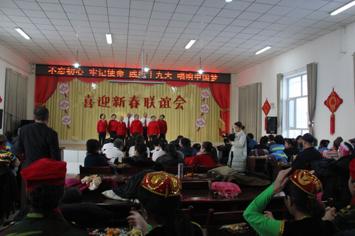 图片1