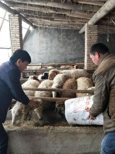 微信图片_20180213161744