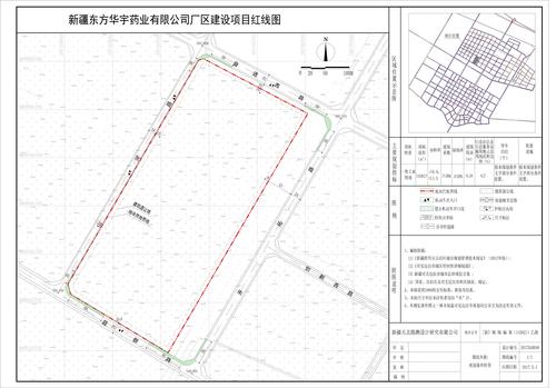 新疆东方华宇药业有限公司厂区建设项目红线图-Model