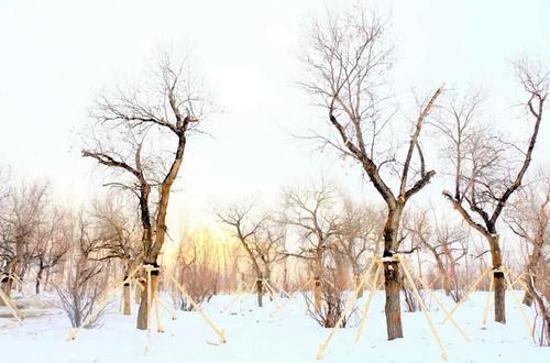 mmexport1540442540968