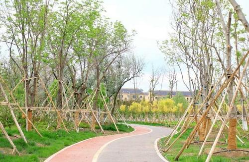 mmexport1540442563090