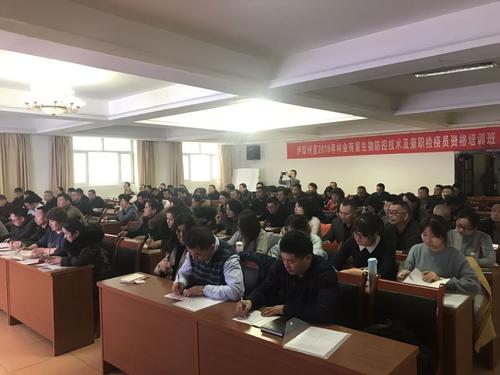 QQ图片20190130093313