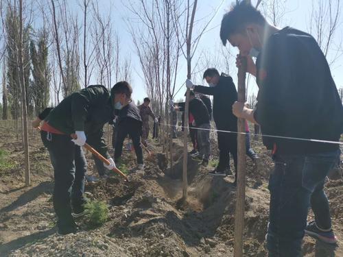师市住建局栽植树木
