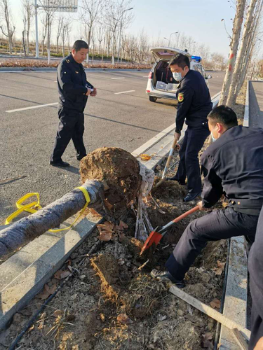 图片2