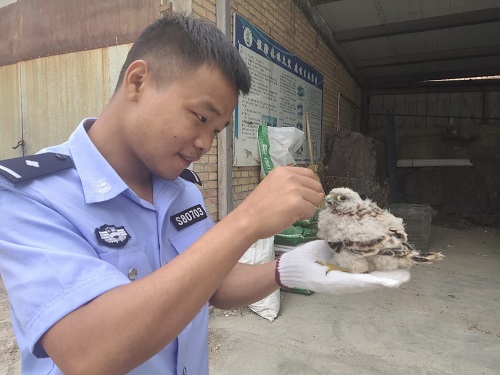 图片2