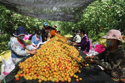 AR5A4636 (28992)_wps图片