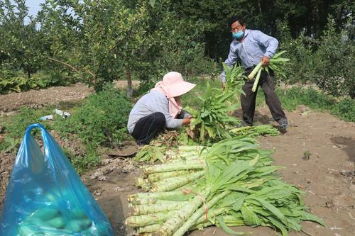 AR5A4683 (22377)_wps图片