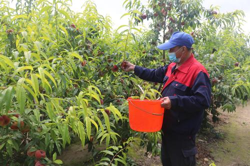 AR5A5001 (6994)_wps图片