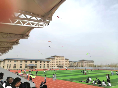 图片1