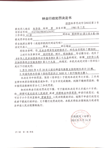 四师林草罚决字〔2022〕第2号