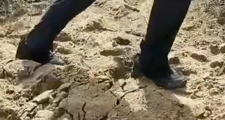 死亡后