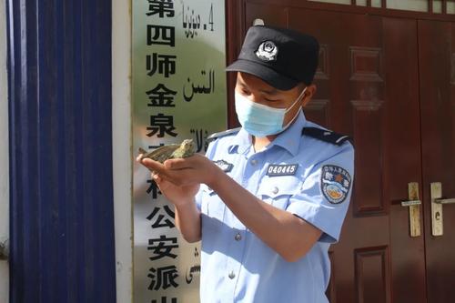 乏力后。