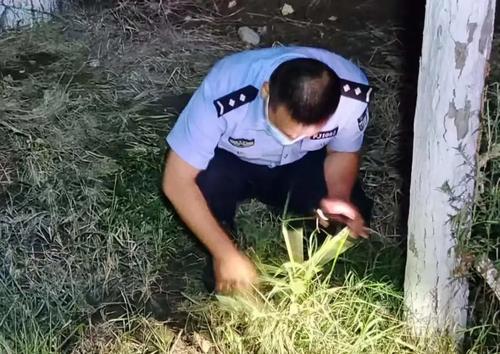微信图片_20220720114951