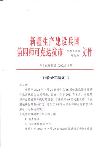 师自然资执罚﹝2022﹞4号