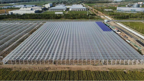 可克达拉市智慧农业建设项目鸟瞰图