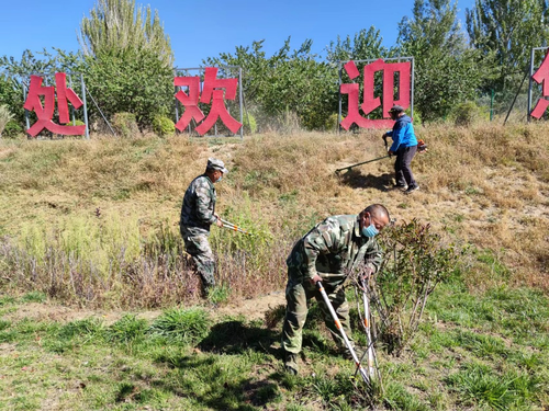 图片14