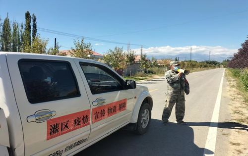 图片16