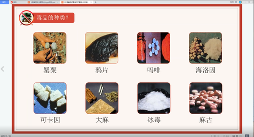 图片6