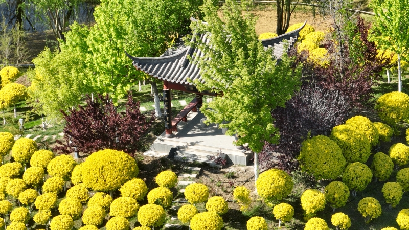 绿意盎然的可克达拉