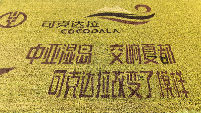 礼赞耕耘 欢庆丰收